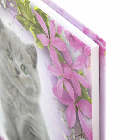 Блокнот А6 110х147мм Котята 80 листов в клетку, твердая обложка, BRAUBERG