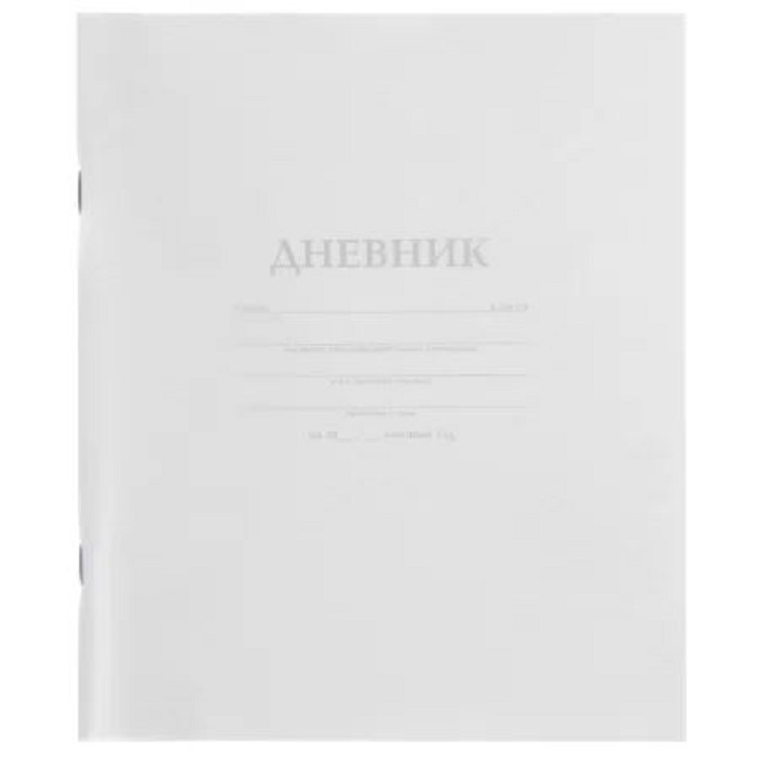 Дневник школьный белый с пластиковой обложкой 40 листов, Hatber