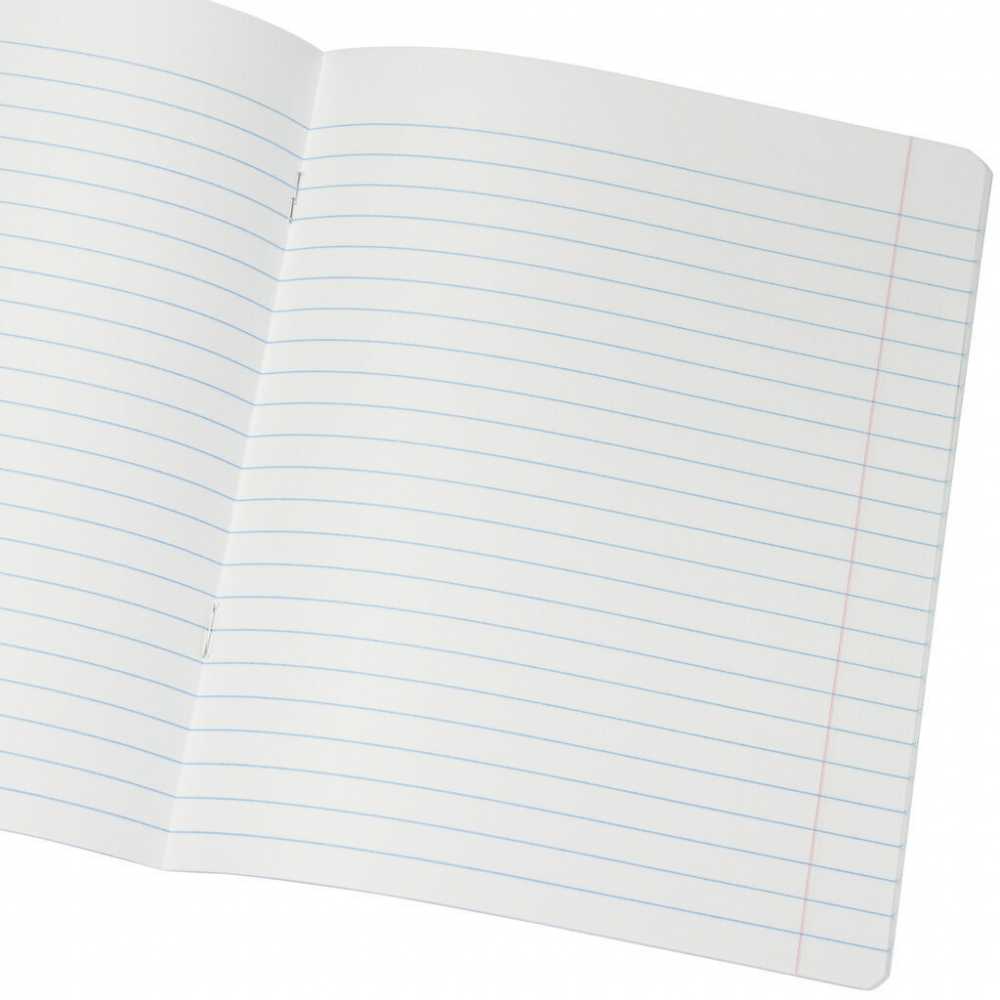 Тетрадь школьная в линейку, А5 18 листов, Великолепная 5, КФОБ, 1шт