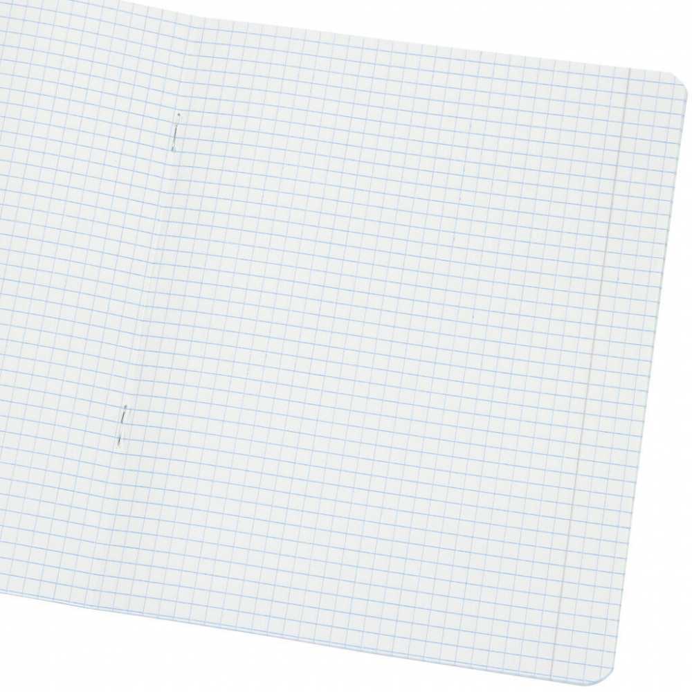 Тетрадь школьная в клетку А5 24 листа, Великолепная 5, КФОБ, 1шт