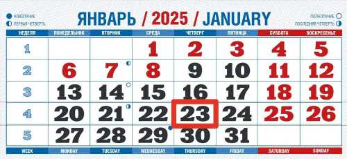 Календарь квартальный на 2025 год, 3 блока 3 гребня с курсором, 310*680мм, Милый котёнок