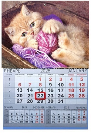 Календарь одноблочный на 2025г. (310*420мм) с курсором и календарной сеткой. Котенок с клубком