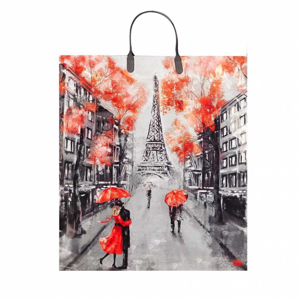 Пакет подарочный 44*40см с пластиковой ручкой, Париж, мягкий пластик, 100мкм