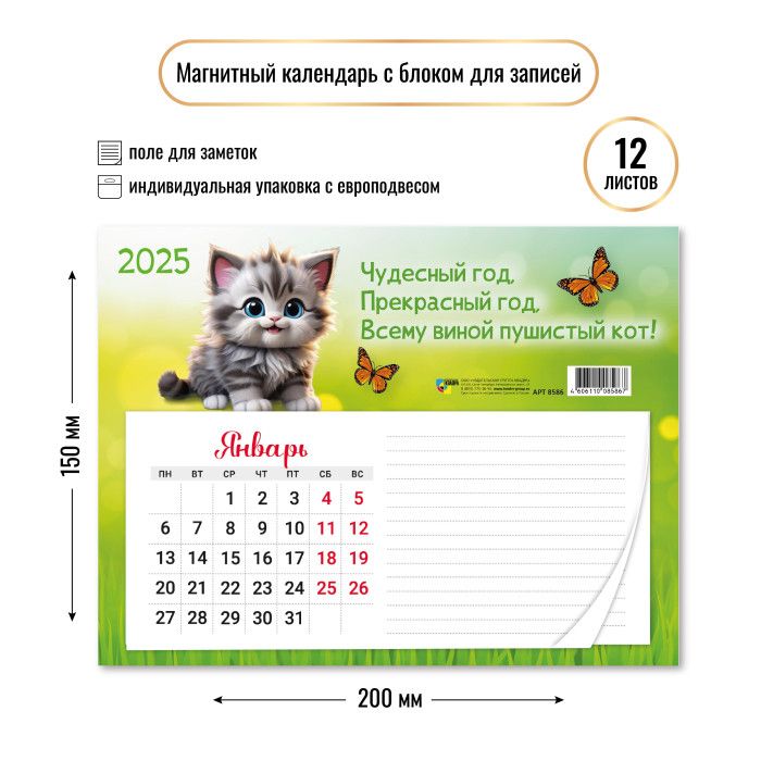 Календарь с блоком для записей на магните 200*150мм на 2025г. Кот