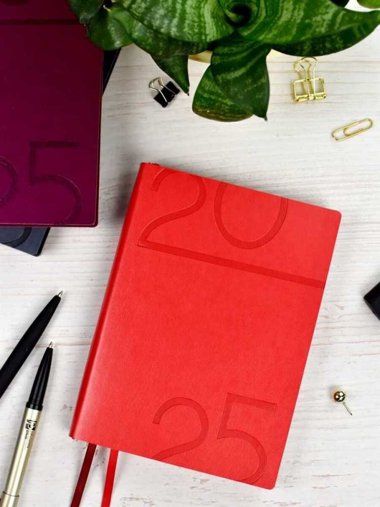 Ежедневник датированный 2025г, А6+ (126х174мм) 176л., кожзам., мягкий переплет Гоутскин красный