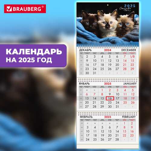 Календарь квартальный на 2025 г., 3 блока, 3 гребня, с бегунком, мелованная бумага, BRAUBERG, Милые котики