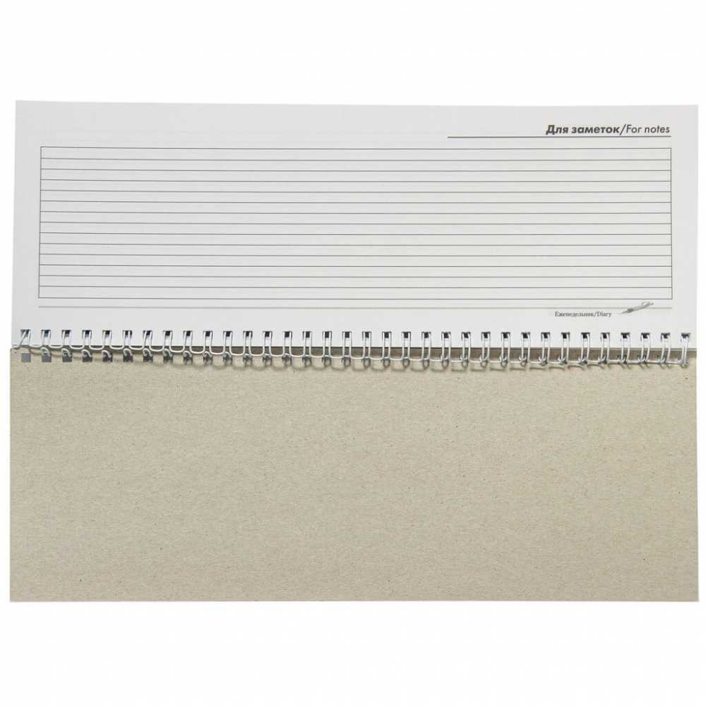 Еженедельник недатированный 100*295мм 56л., гребень Ассорти