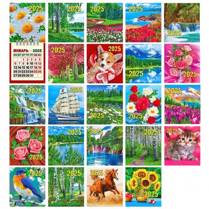 Календарь отрывной МИНИ 80*160мм на 2025г. Ассорти