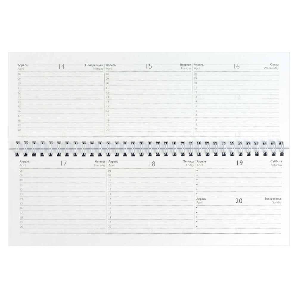 Планинг датированный на 2025г 290*100мм 64л., гребень Утро в офисе