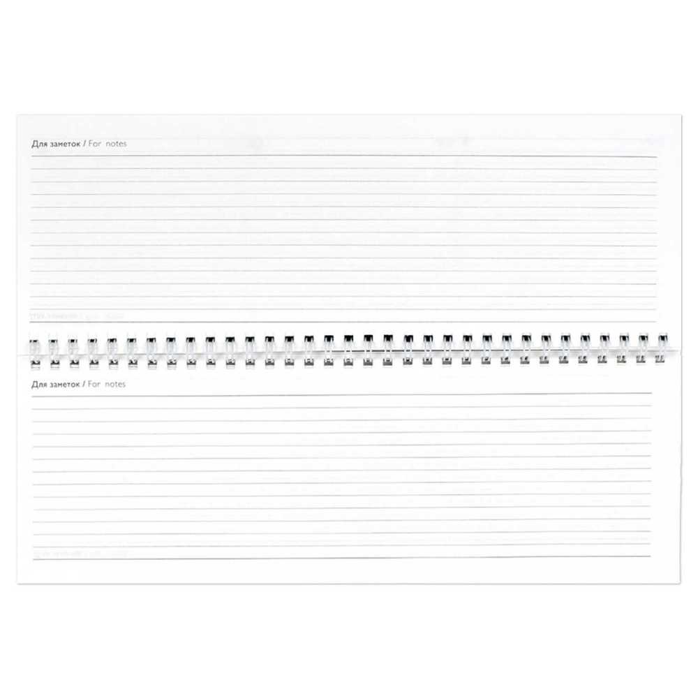 Планинг датированный 2025г 290*100мм 64л., гребень Лавандовые поля