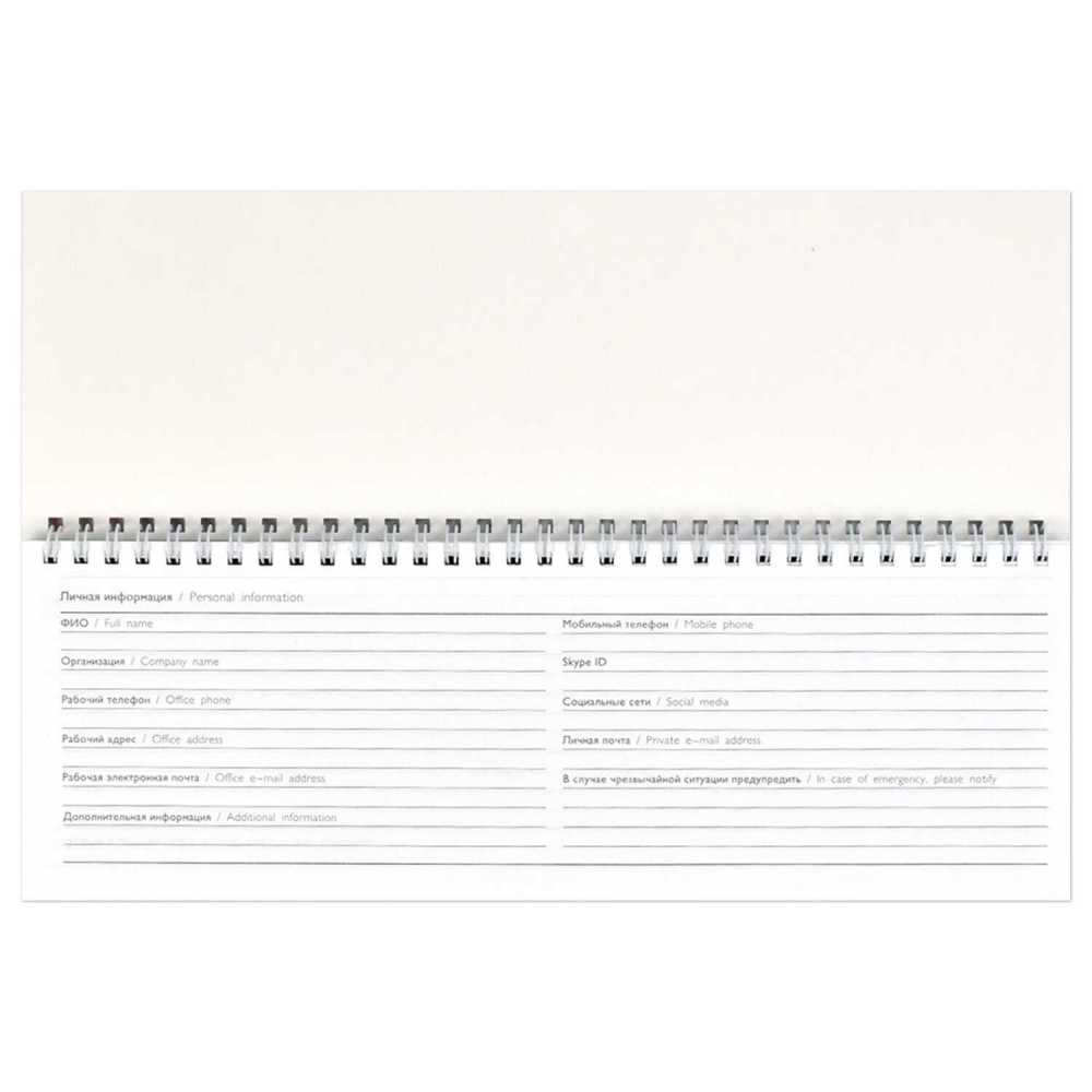 Планинг датированный 2025г 290*100мм 64л., гребень Серая символика