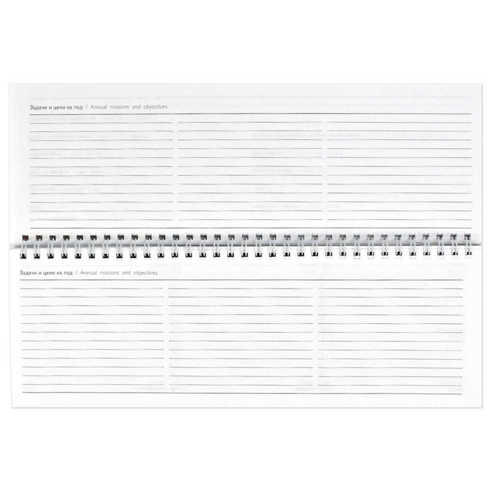 Планинг датированный 2025г 290*100мм 64л., гребень Серая символика