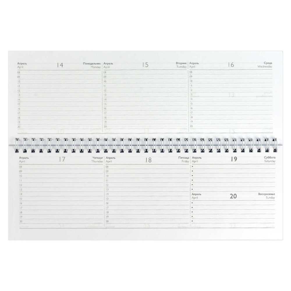 Планинг датированный 2025г 290*100мм 64л., гребень Серая символика