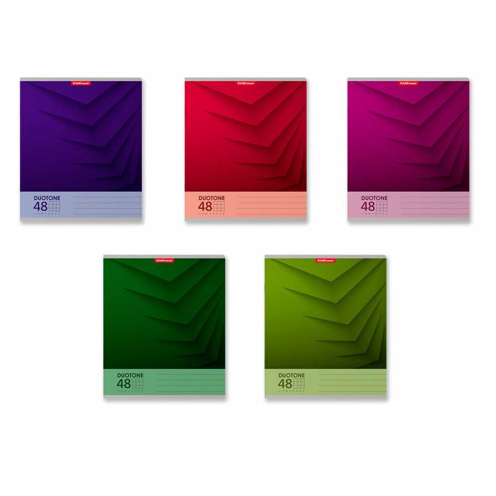 Тетрадь А5 48л кетка. ErichKrause Duotone Next