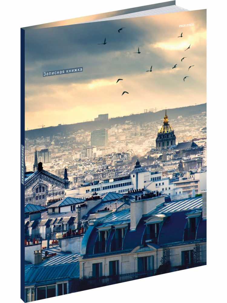 Тетрадь А4 7БЦ 80л клетка сшивка Птицы над городом глянцевый ламинат