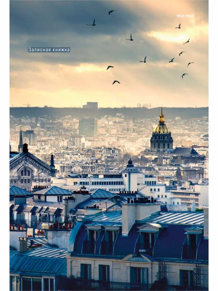 Тетрадь А4 7БЦ 80л клетка сшивка Птицы над городом глянцевый ламинат