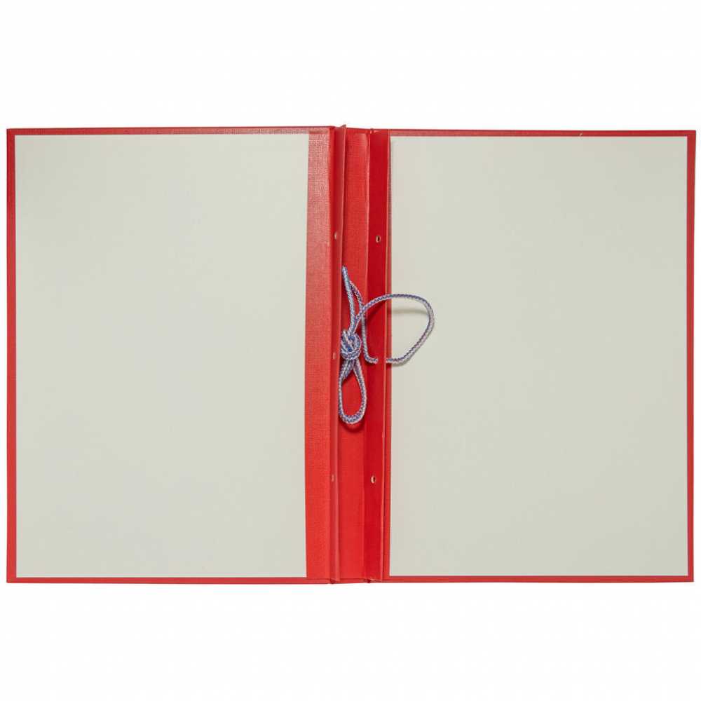 Папка для дипломных работ А4, без бумаги, красная