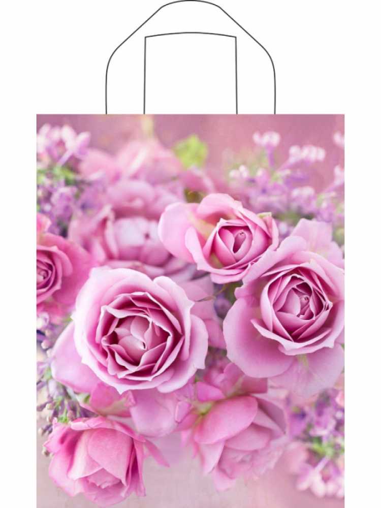 Пакет 35*28см (55мк) с петлевой ручкой Нежные розы Глянец ПВД