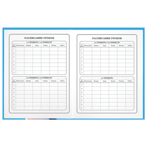 Дневник 1-4 класс 48 л., твердый, ЮНЛАНДИЯ, глянцевая ламинация, с подсказом, Котик