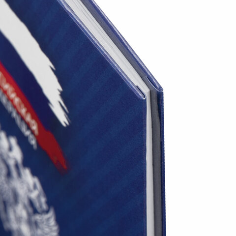 Дневник 1-11 класс 40 л., твердый, BRAUBERG, глянцевая ламинация, Россия