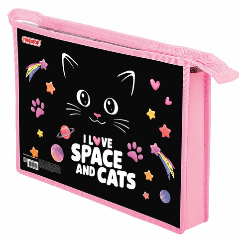 Папка для тетрадей А4, 1 отделение, картон/пластик, на молнии, ПИФАГОР Dark kitten