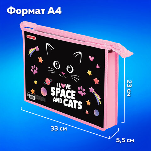 Папка для тетрадей А4, 1 отделение, картон/пластик, на молнии, ПИФАГОР Dark kitten