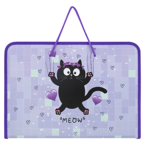 Папка для труда на молнии с ручками А4, 1 отделение, пластик, органайзер, ПИФАГОР Falling cat