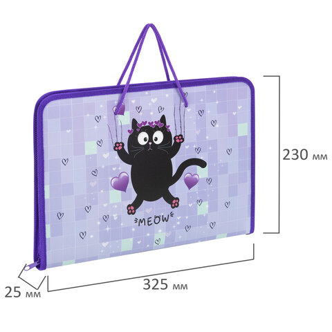 Папка для труда на молнии с ручками А4, 1 отделение, пластик, органайзер, ПИФАГОР Falling cat