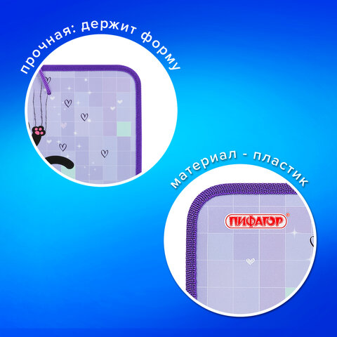 Папка для труда на молнии с ручками А4, 1 отделение, пластик, органайзер, ПИФАГОР Falling cat