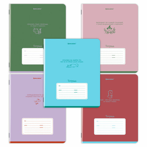 Тетрадь 24 л., клетка, обложка картон, BRAUBERG PHRASES