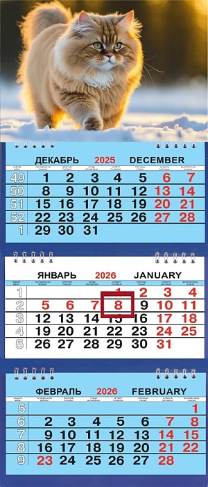 Календарь квартальный 3 блока, 3 гребня Малый 200*470мм на 2026г. Котёнок на закате