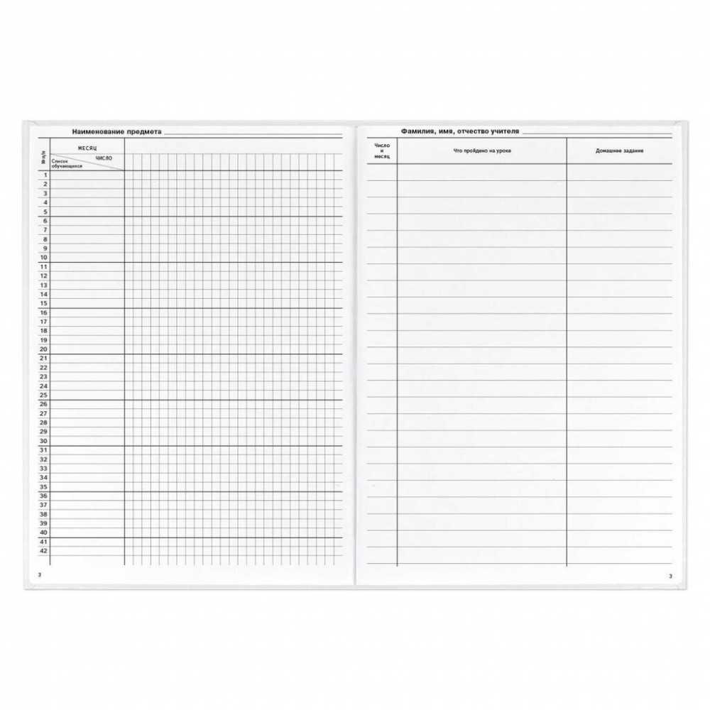 Классный журнал для 10-11 КЛАССОВ