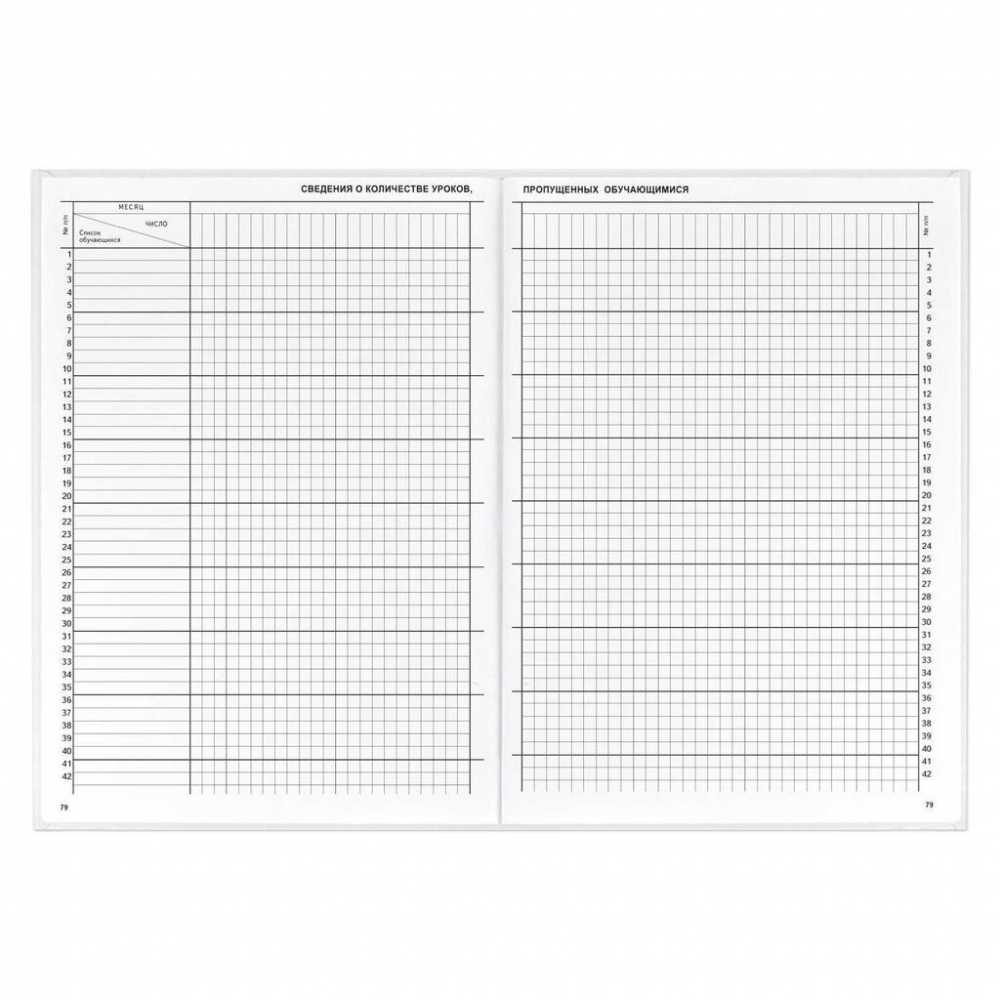 Классный журнал для 10-11 КЛАССОВ