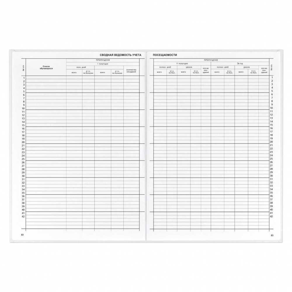 Классный журнал для 10-11 КЛАССОВ