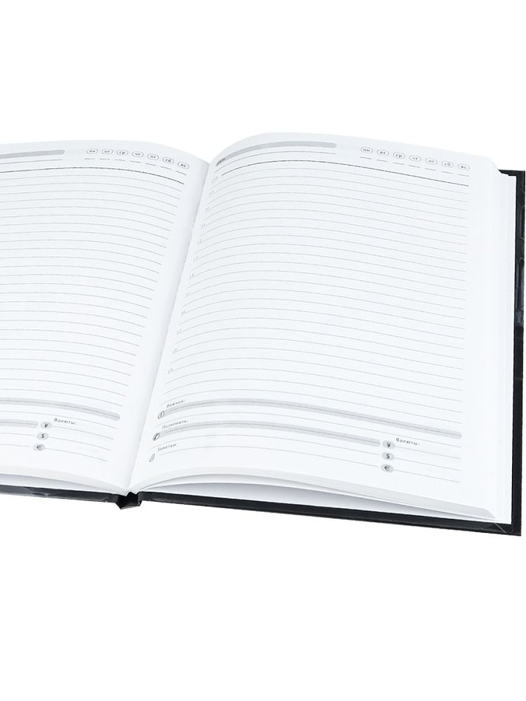 Ежедневник недатированный А5 80л., Зеленоглазый кот