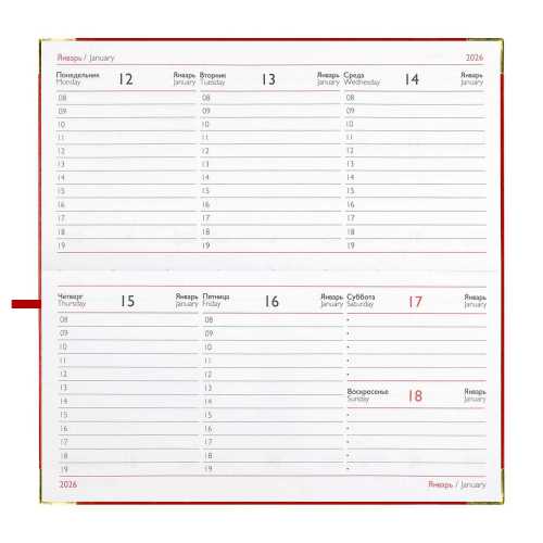 Планинг датированный 2026г 170*88мм 64л., интегральный переплёт, искусственная кожа, Сариф красный ляссе