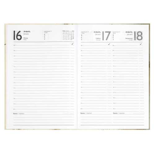 Ежедневник датированный 2026г А5 160л., Вороной конь, твердый переплет