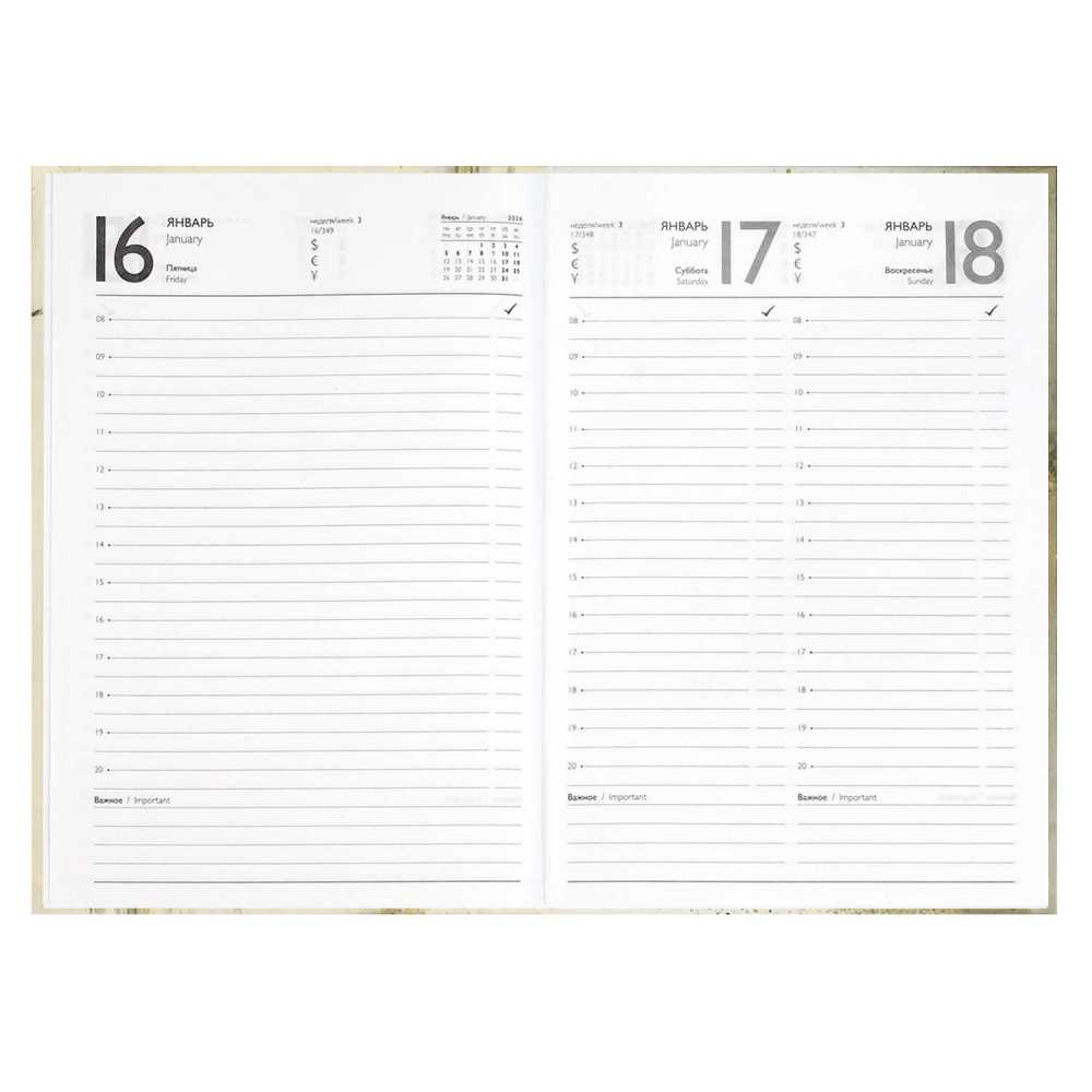 Ежедневник датированный 2026г А5 160л., Вороной конь, твердый переплет