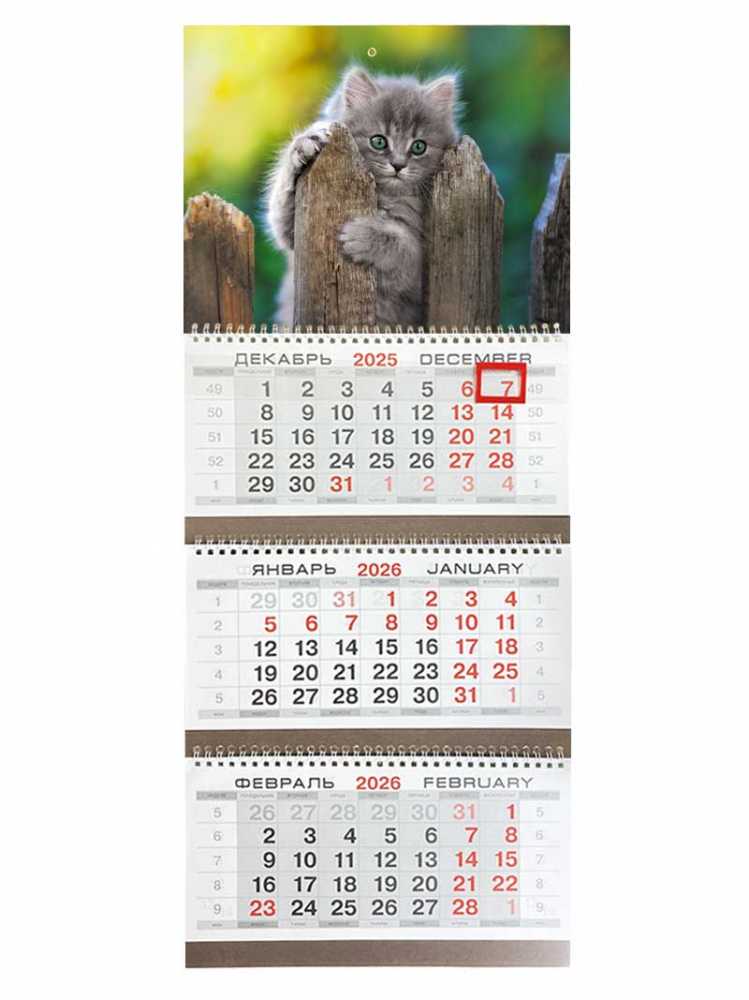 Календарь квартальный на 2026г. 3 блока 3 гребня 295*720мм  Шалун