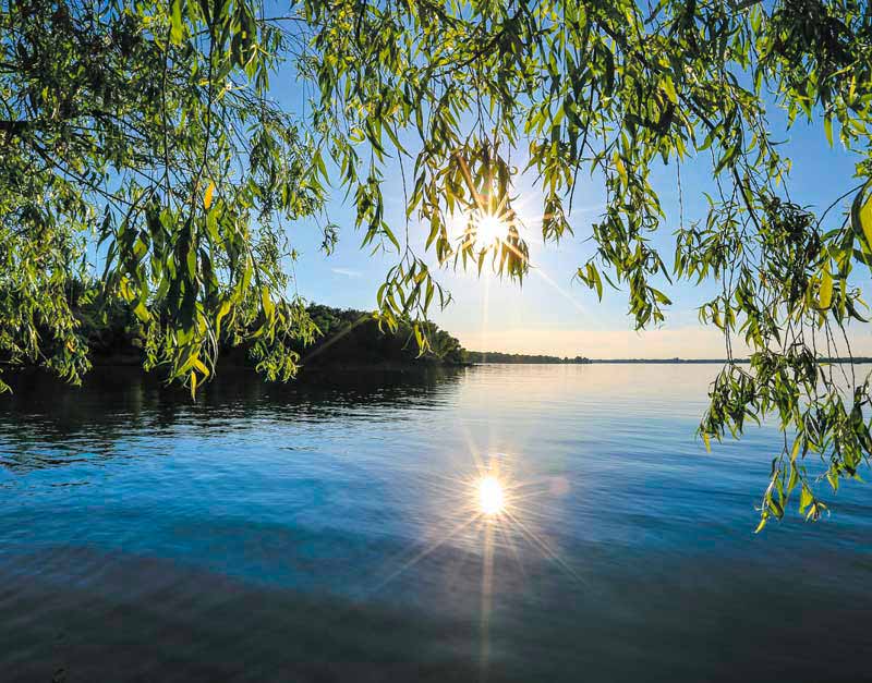 Календарь квартальный на 2026 год, 3 блока 3 гребня 295*720мм. Ивушка над водой