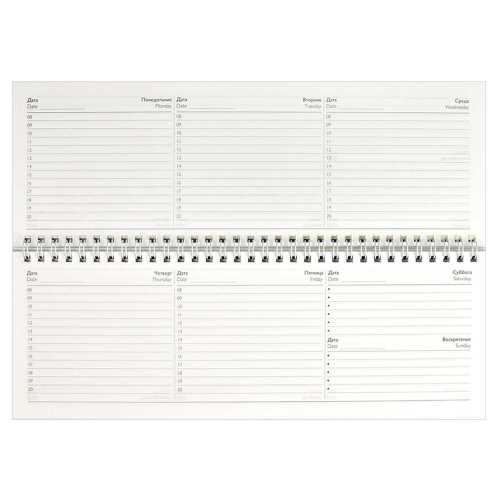 Планинг (ежедневник) недатированный 290*100мм 64л., картон, гребень. Триколор