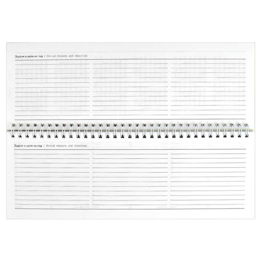 Планинг (ежедневник) недатированный 290*100мм 64л., картон, гребень. Триколор