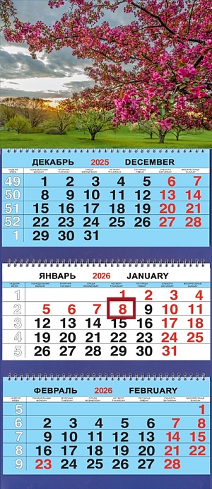 Календарь квартальный на 2026 год, 3 блока 3 гребня с курсором, 310*690мм. Природа. Цветущая яблоня