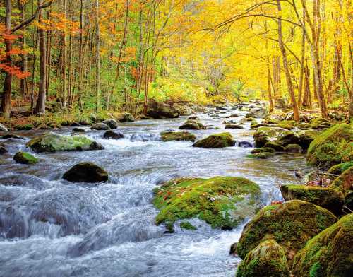 Календарь квартальный на 2026 год, 3 блока 3 гребня с курсором, 295*720мм. Осень в лесу