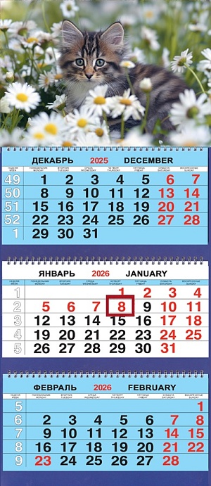 Календарь квартальный на 2026 год, 3 блока 3 гребня Животные. Котёнок в ромашках