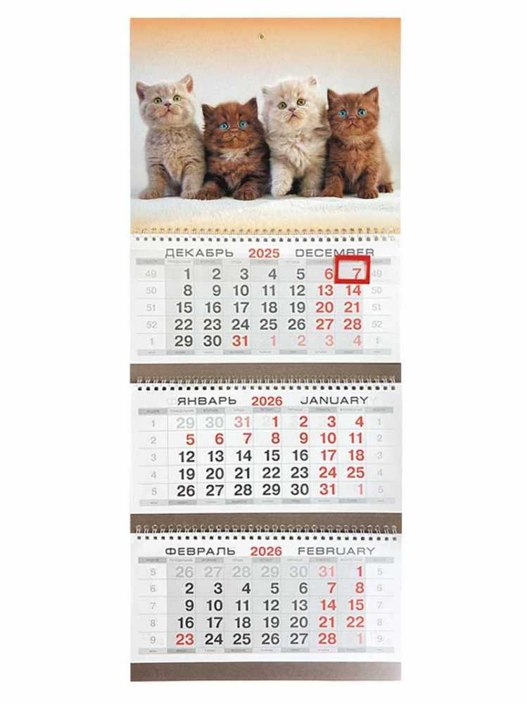 Календарь квартальный на 2026г. 3 блока 3 гребня 295*720мм на 2026г. Моя семья