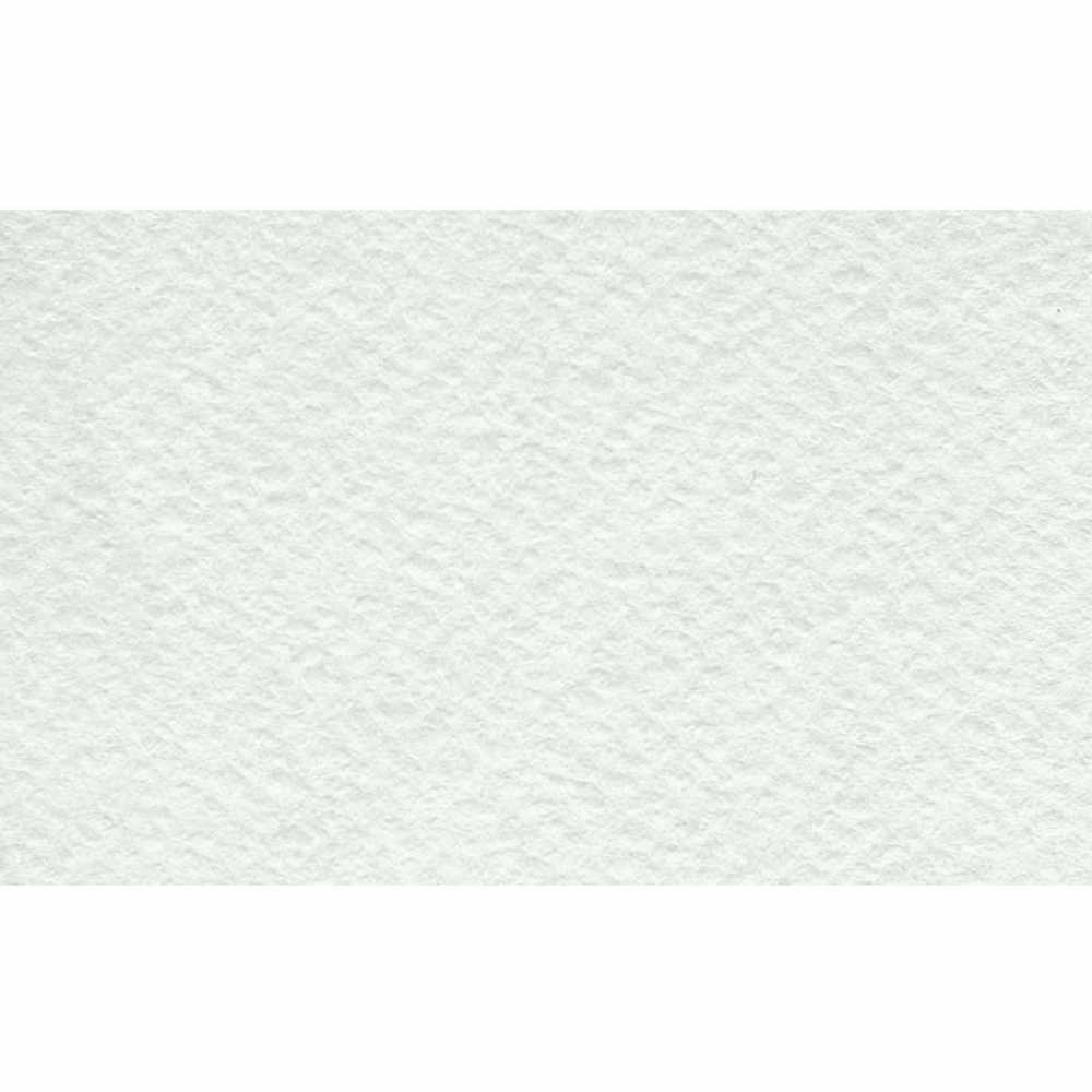 Бумага для акварели БОЛЬШАЯ А3, 10 л., 200 г/м2, бумага ГОЗНАК, среднее зерно, Флора