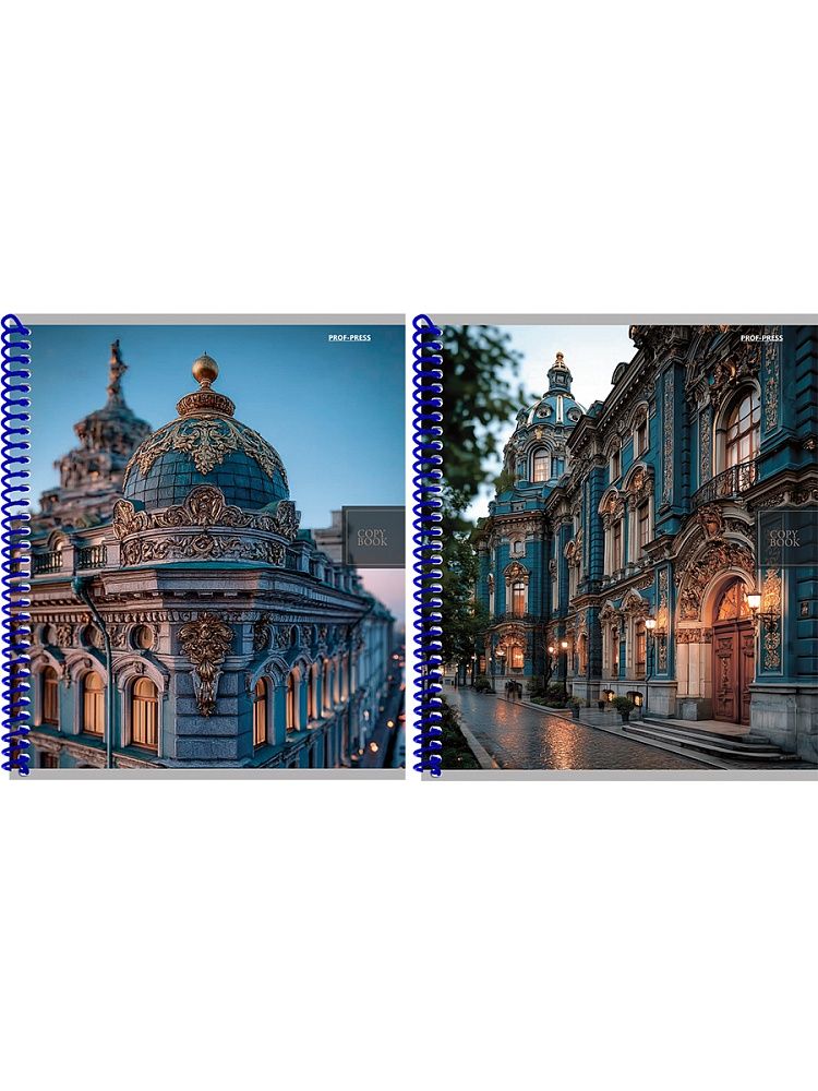 Тетрадь А5 48л клетка гребень Проф-Пресс Городская архитектура