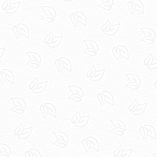 Полотенца бумажные листовые H2 Z-сложение 1-слойные белые, 200 листов PROtissue С446