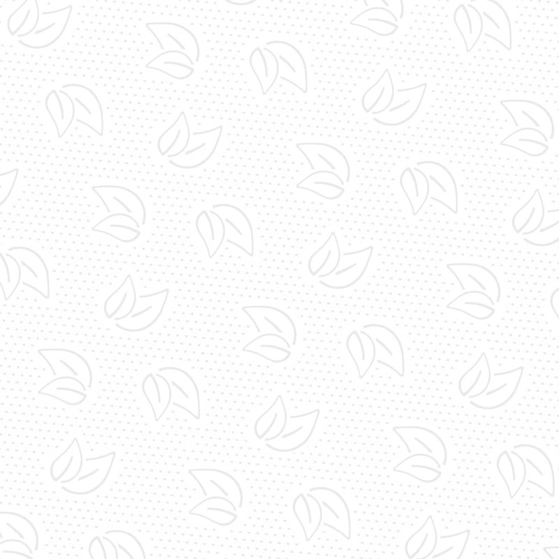 Полотенца бумажные листовые H2 Z-сложение 1-слойные белые, 200 листов PROtissue С446